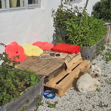 بيت ضيافة Casa Grend