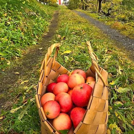 Casa Grend * Kvam (Hordaland)