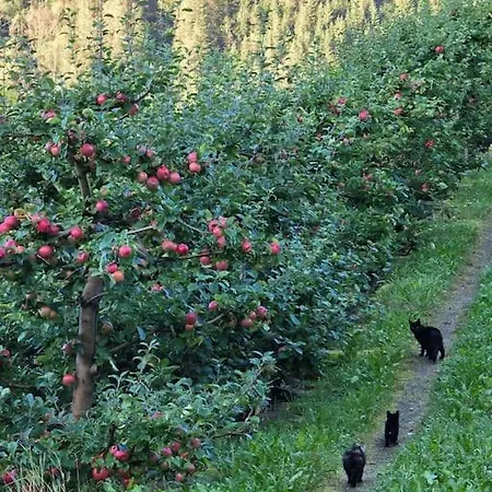 Casa Grend Guest house