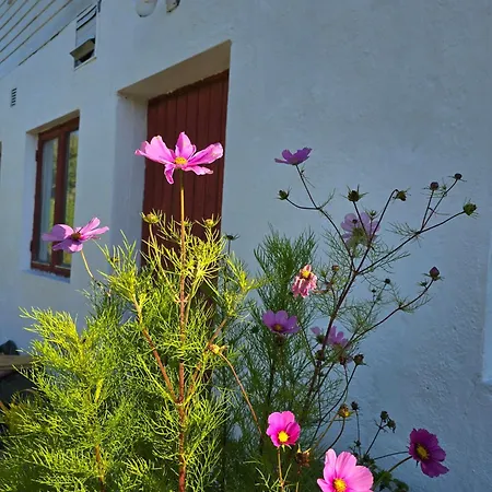 Casa Grend *