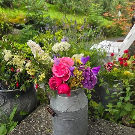 بيت ضيافة Casa Grend *