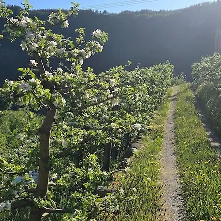 Casa Grend * Kvam (Hordaland)